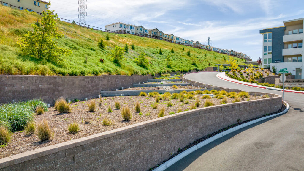 WildFlower, Antioch